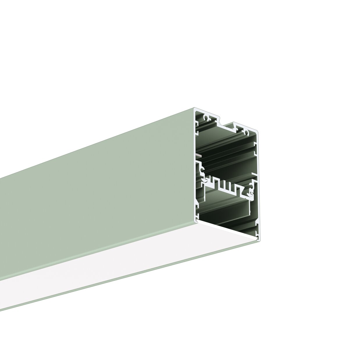 Profil MOD-50, lackiert, Salbei hell (NCSS2010-G50Y) – Produktbild