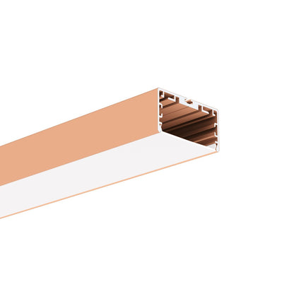 Profil LIPOD-50, lackiert, Karamell (NCSS3030-Y60R) – Produktbild