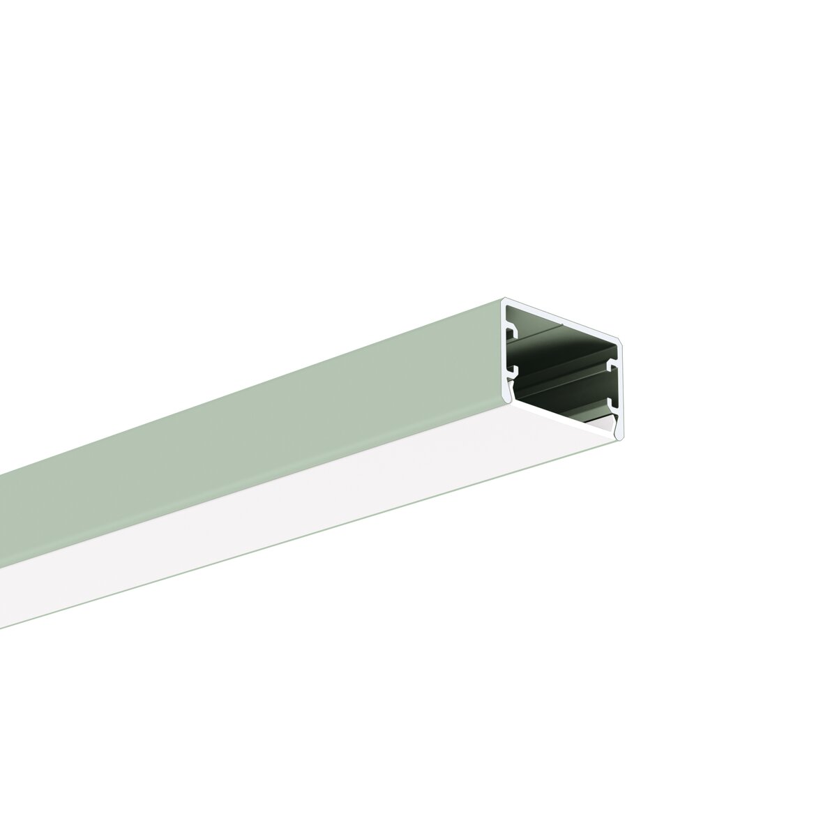 Profil GLAZA-LL, lackiert, Salbei hell (NCSS2010-G50Y) – Produktbild