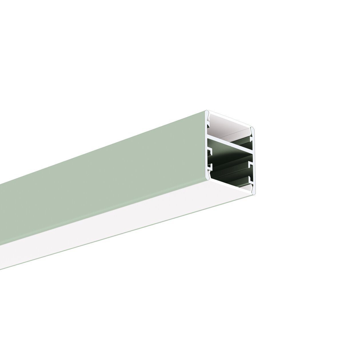 Profil GLAZA-DUO, lackiert, Salbei hell (NCSS2010-G50Y) – Produktbild