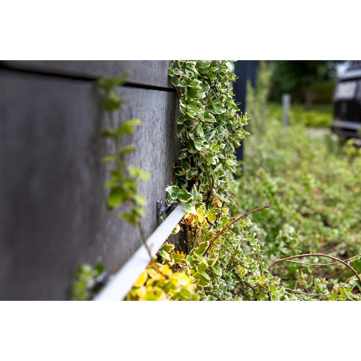KLUŚ Befestigungsclip REGIP-EXT – Detail-/Anwendungsbild